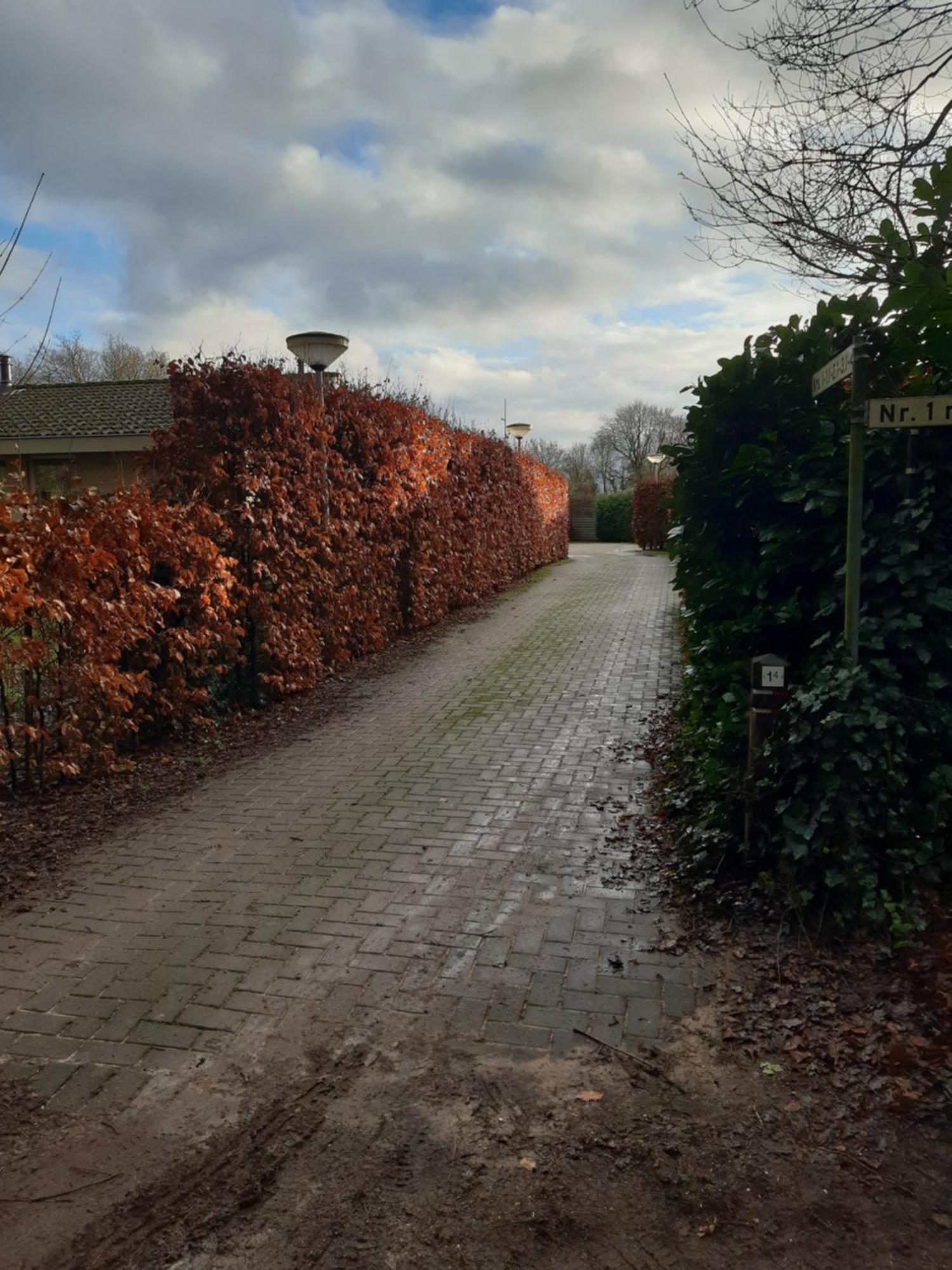Huinerhofje 3 - Vrijstaand, Grote Tuin, Rust En Veel Privacy Nabij Uitgestrekte Bossen Putten Exterior foto